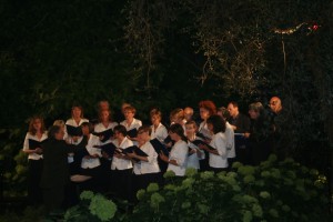 IMG_5553_B